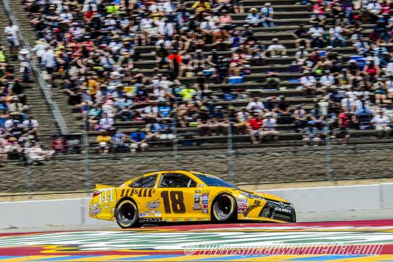 raceFinal95.jpg
