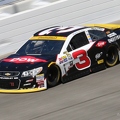 Chase Contenders Austin Dillon 1389