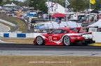 2019 - Petit Lemans - Michelin Raceway Road Atlanta