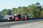 2019 Petit Lemans - Michelin Raceway Road Atlanta - By Andrew Hinze