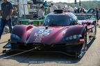 2019 Petit Lemans - Michelin Raceway Road Atlanta - By Andrew Hinze