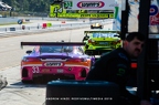 2019 Petit Lemans - Michelin Raceway Road Atlanta - By Andrew Hinze