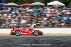 2019 Petit Lemans - Michelin Raceway Road Atlanta