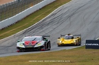 2019 Petit Lemans - Michelin Raceway Road Atlanta