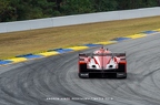 2019 Petit Lemans - Michelin Raceway Road Atlanta
