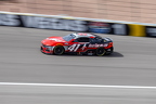 No. 41 Cole Custer