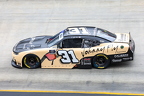 No. 31 Blaine Perkins