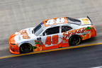 No. 48 Nick Sanchez