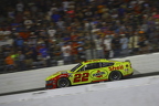 Joey Logano down the front stretch