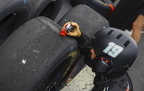 Chase Briscoe's crew checking tire wear