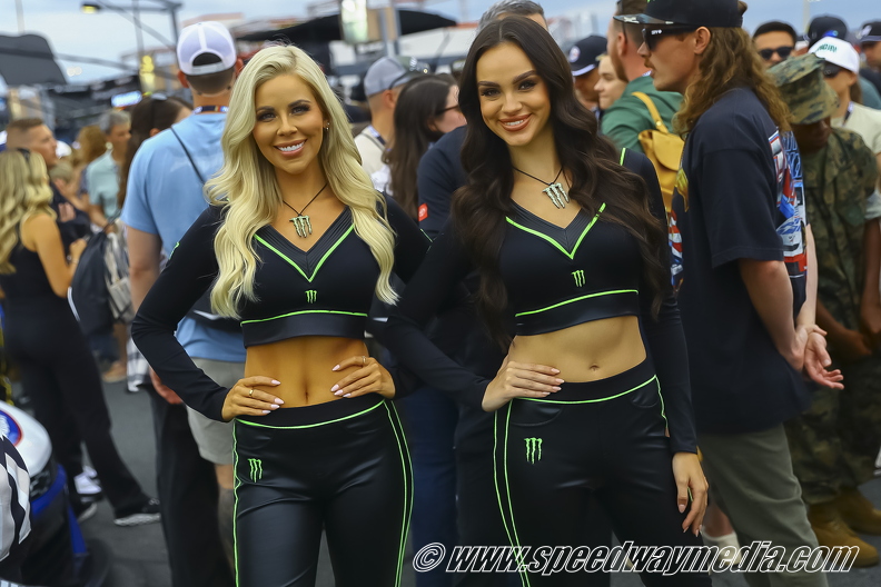The Monster Energy Girls.jpg