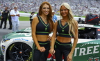 Monster Energy girls