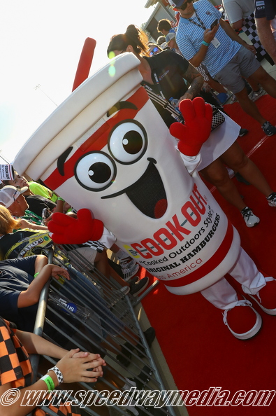 Cook Out's Shakey the Shake.jpg