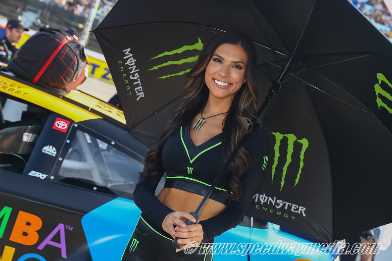 Monster energy girl.jpg