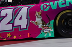 No. 24 Kaz Grala
