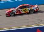 Joey Logano
