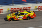 Darlington Raceway O\'Reillys  (17)