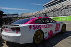 Martinsville Cup Cook Out 400 (45)