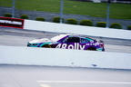 Nearing End of Race / Post Race