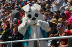 Rockingham Speedway   (36)