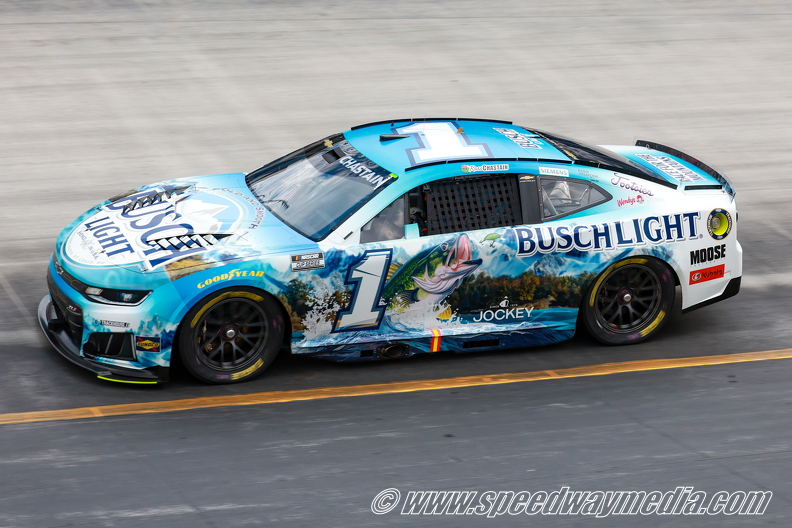 R6II2523.jpg