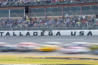 Jack Link's 500 Cup Race