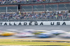 Jack Link's 500 Cup Race