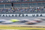 Jack Link's 500 Cup Race