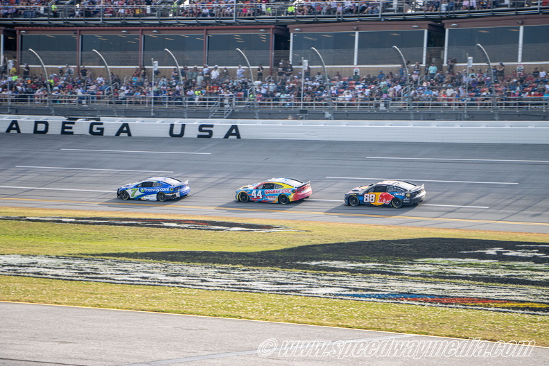 Cup_Race217.jpg