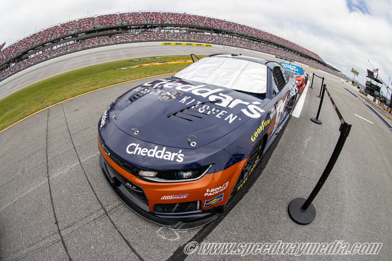 Cup_Race253.jpg