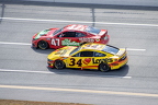 Jack Link's 500 Cup Race