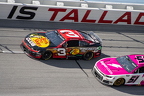 Jack Link's 500 Cup Race
