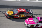 Jack Link's 500 Cup Race