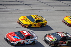 Jack Link's 500 Cup Race