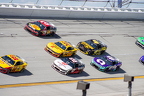 Jack Link's 500 Cup Race