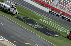 Kyle Busch #8 on grass