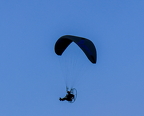 spectator with a birds eye view