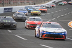 Cup Race