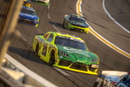 Race