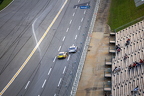 Race