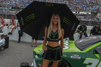 Darlington Southern 500, NASCAR, Cup Series (41)