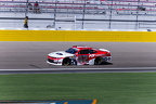 No. 42 Matt DiBenedetto
