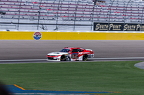 No. 42 Matt DiBenedetto