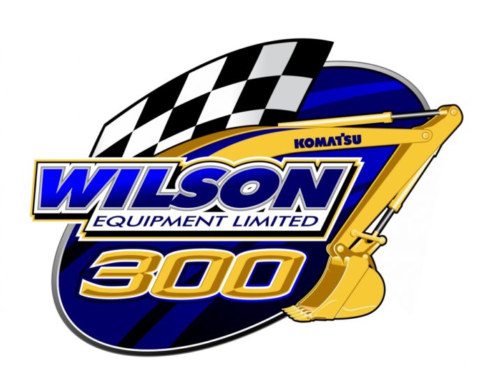 wilson_equip_300_c