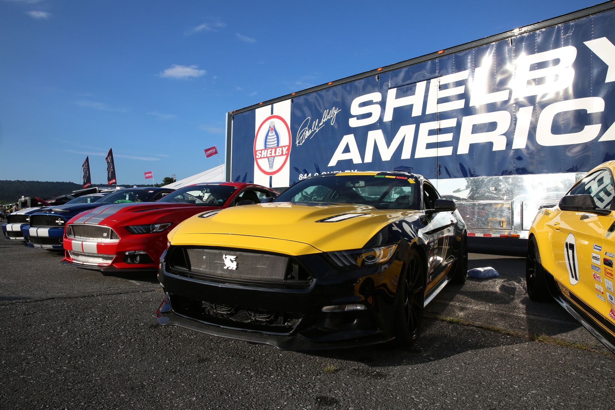 The Largest OneDay Mustang Show in the World Is Expecting Thousands of