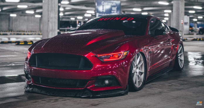 2020-12-10_5_AMM_Cust_Bagged_S550