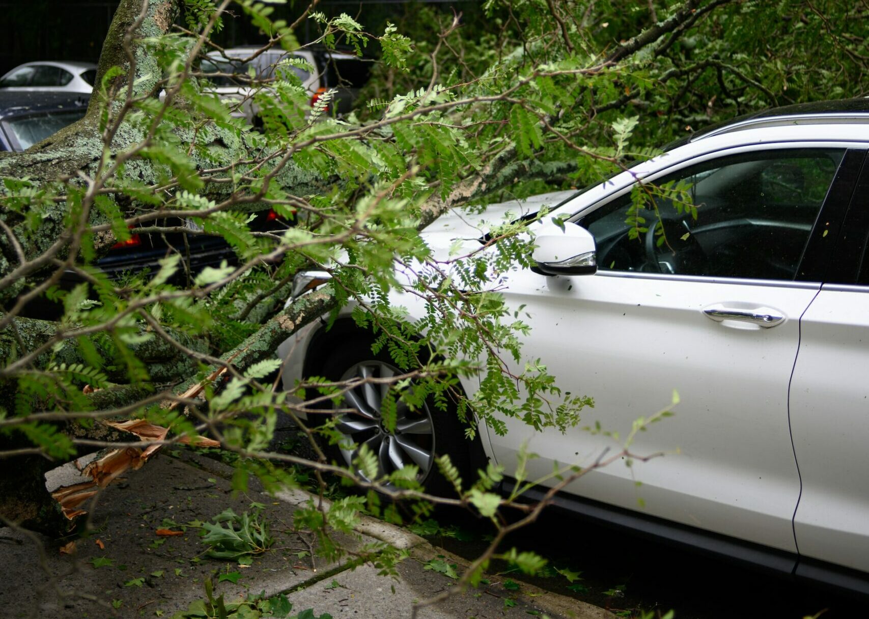 Different Types Of Car Insurance And Why You Need Them