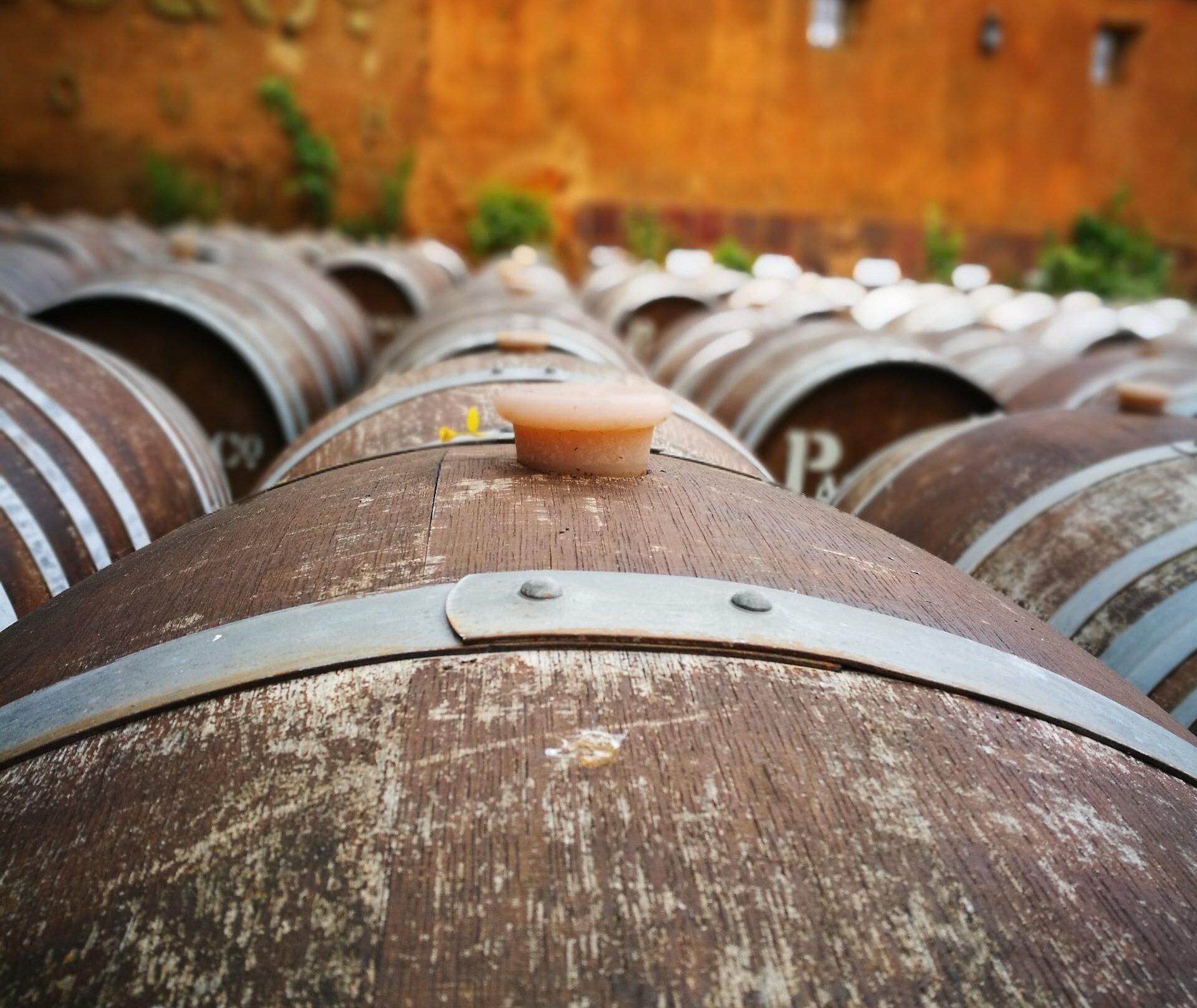 Private Wine Tours in Maryland: A Guide to the Best Wineries