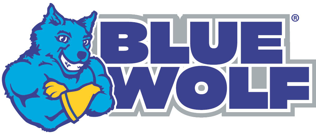 Blue Wolf Partners with ARCA Menards Series Driver Christian Rose