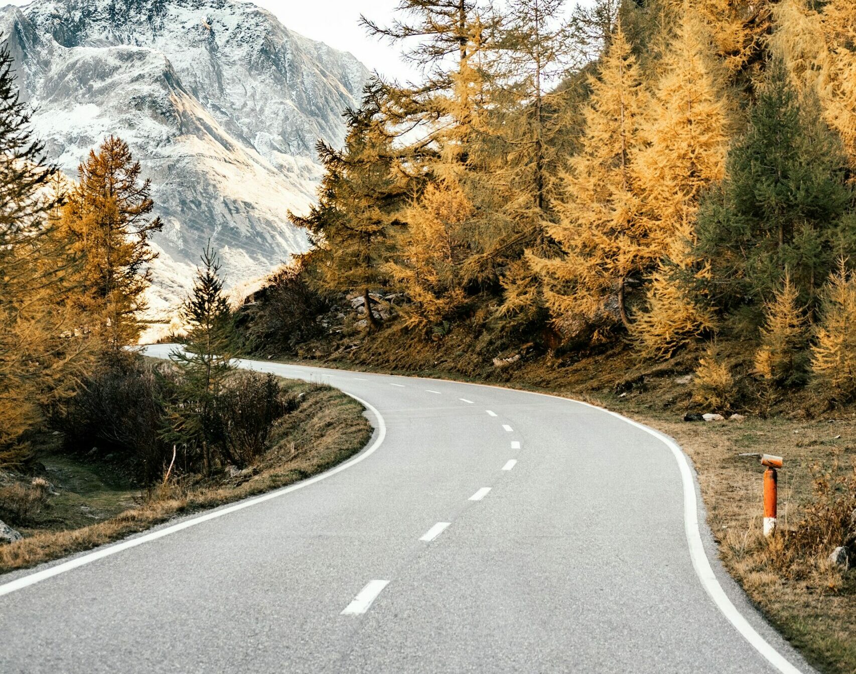 Tips for Navigating Windy Roads